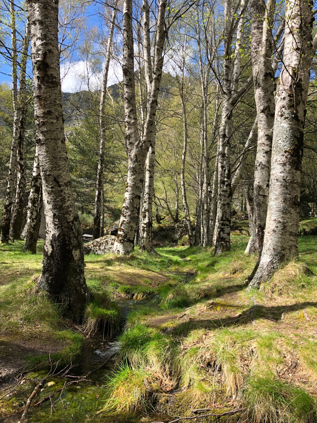 Ideia de escapadinha para o mês de&nbsp;Dezembro
