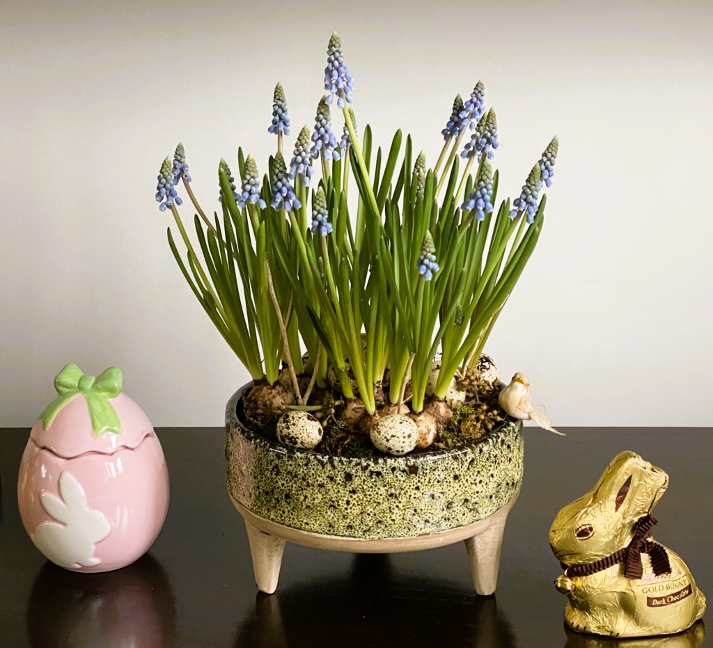 E se recebesse-mos a Páscoa com flores primaveris? Conheça com que antecedência as deve&nbsp;comprar