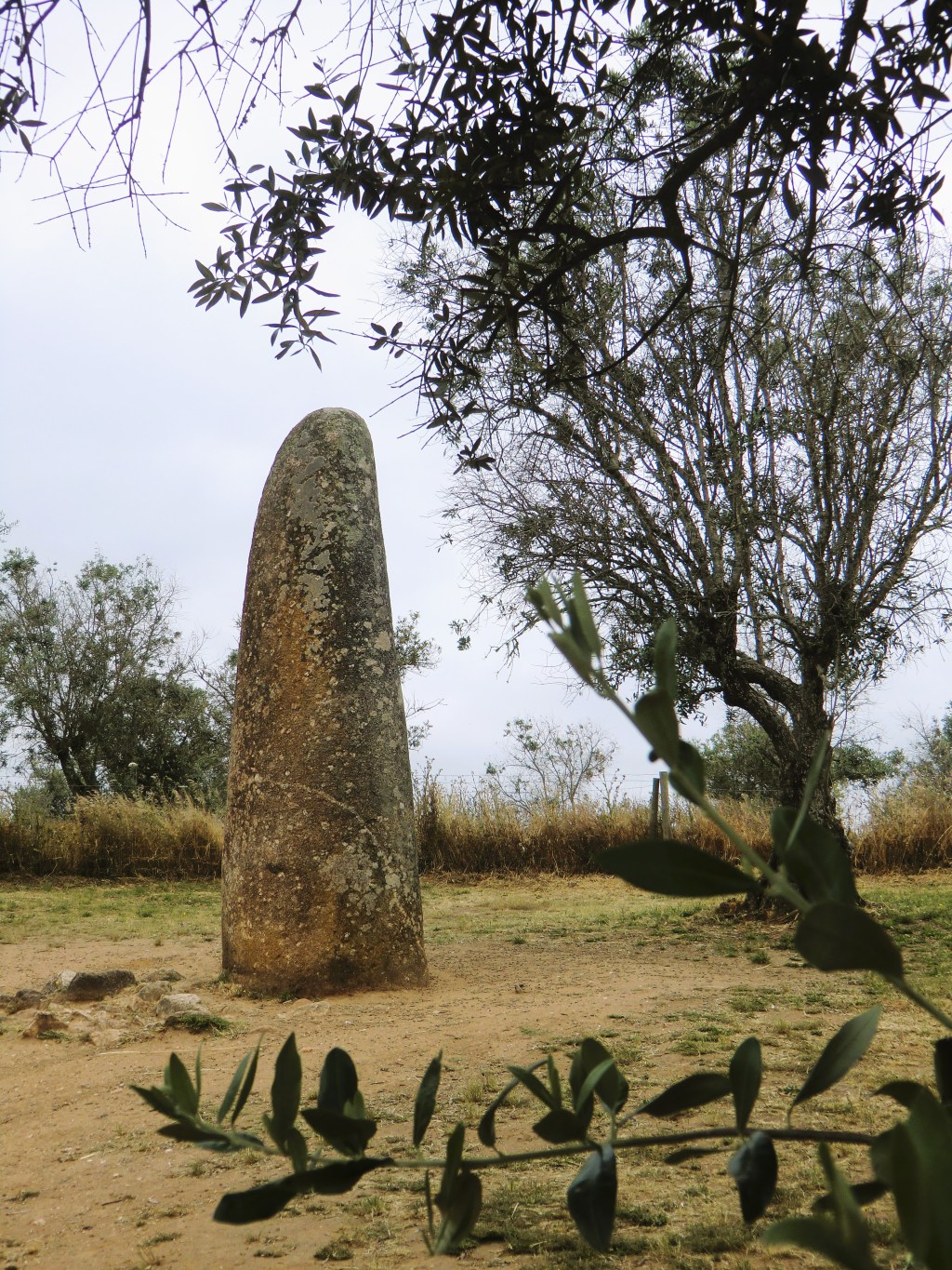 Uma viagem ao tempo&nbsp;pré-histórico