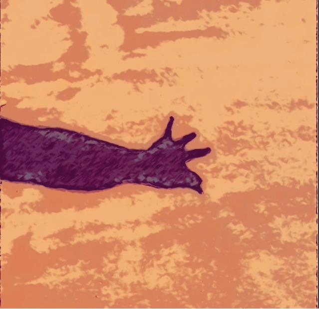 A dança dos&nbsp;dedos